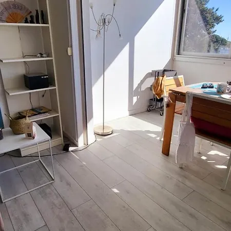 Le Plein Sud Entre Et Commerces